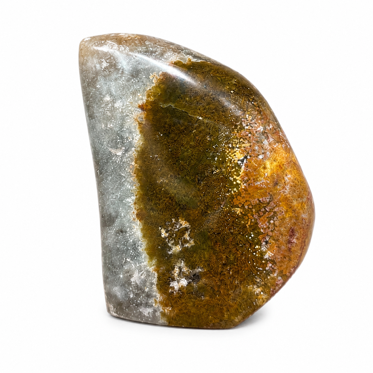 Polished Ocean Jasper Freeform