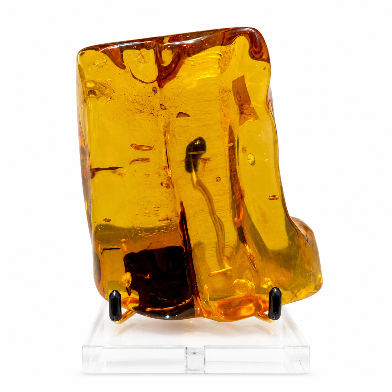 Golden Amber