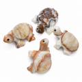 Banded Calcite Turtle Carving