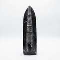 Orthoceras Fossil Display Obelisk