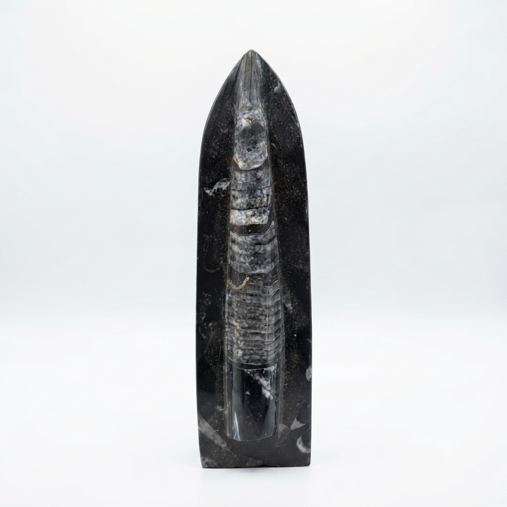Orthoceras Fossil Display Obelisk