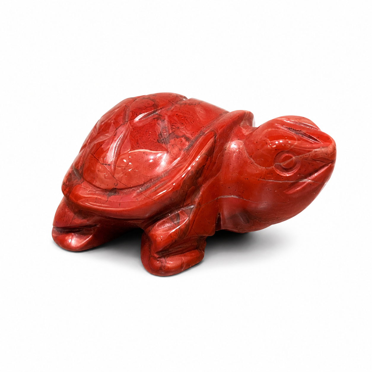 Red jasper turtle 259