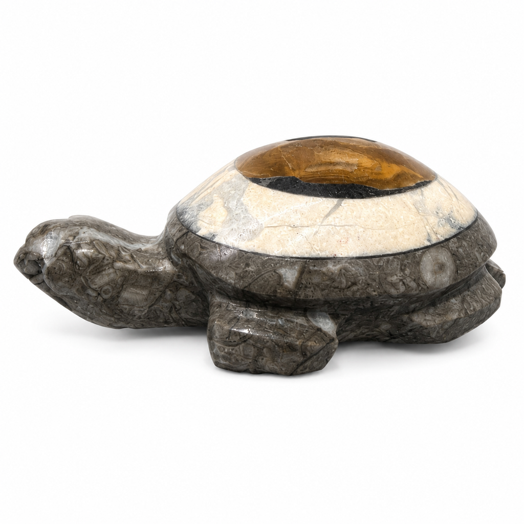 Fossil Coral & Banded Calcite Turtle Carving