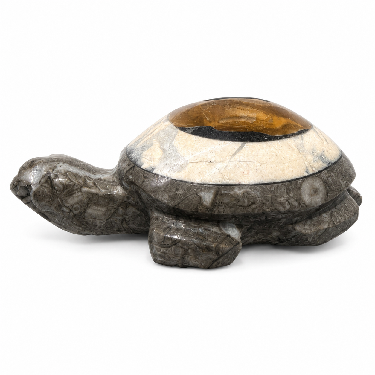 Fossil Coral & Banded Calcite Turtle Carving
