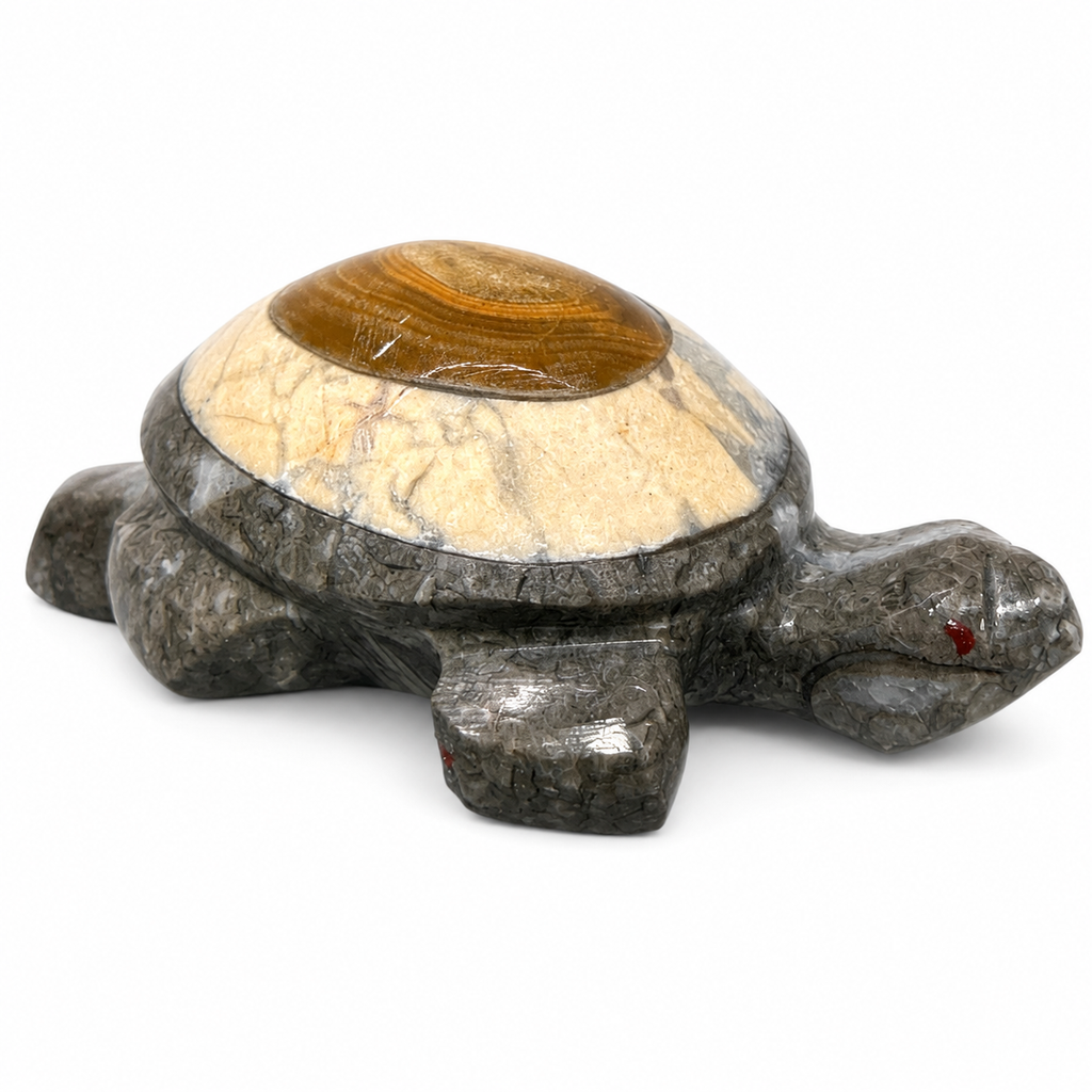 Fossil Coral & Banded Calcite Turtle Carving
