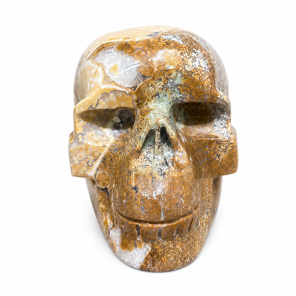 Ocean Jasper Skull Carving