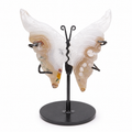 Agate Butterfly on Stand