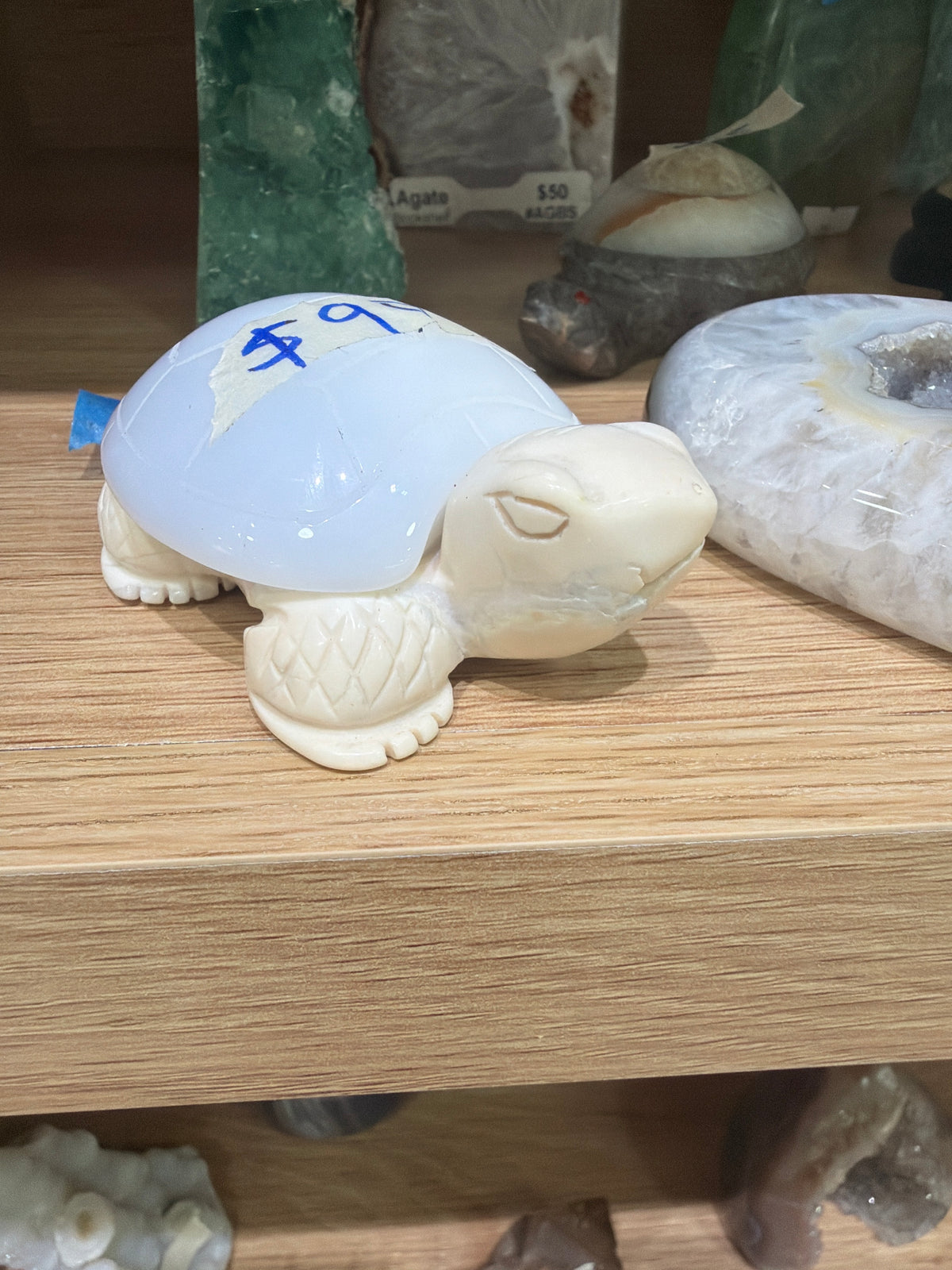 Agate turtle