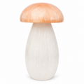 Peach Selenite Mushroom