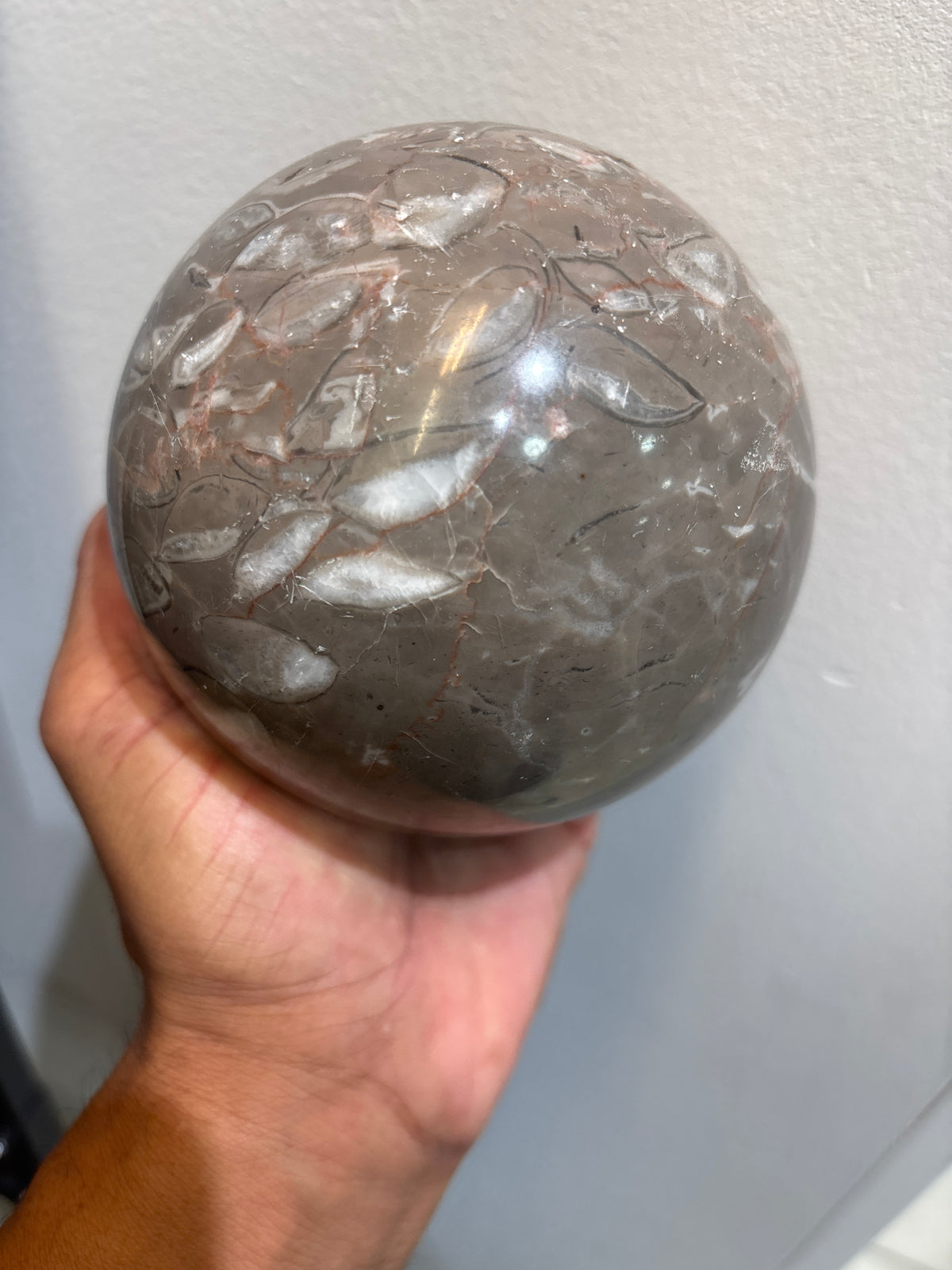 Orthoseras Sphere