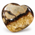 Septarian fossil heart shape