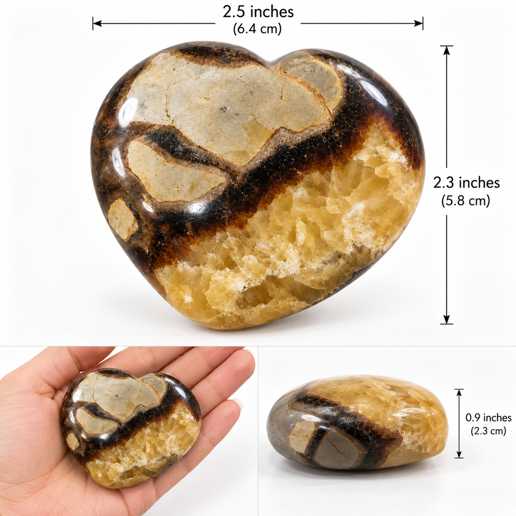 Septarian fossil heart shape