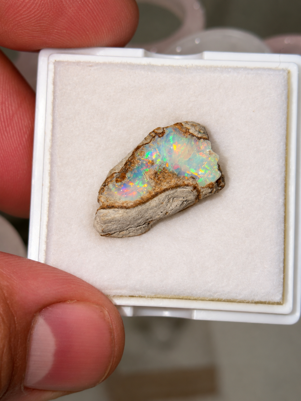 Ethiopian Opal Specimen - 14mm x 10mm