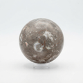 Shell Decorative Sphere