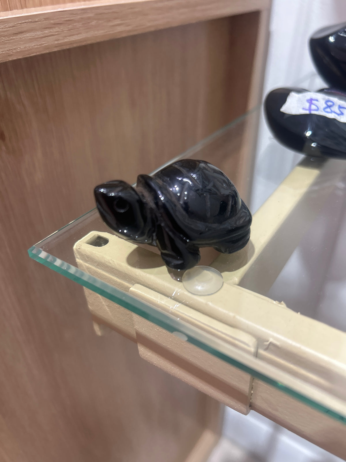 Black Obsidian Turtle